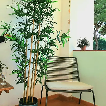 Apartamento Amalia